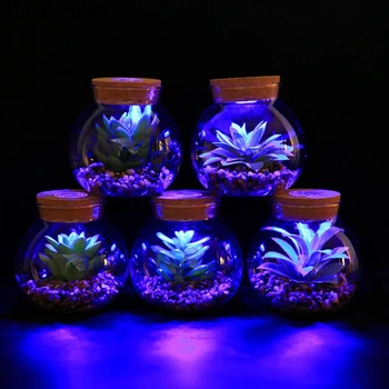 8-Vrste Creativite S Svetlobo Steklena Vaza Simulirani Sočna Bonsaj Doma Okraski Simulacije Pot Rastlin Krajine Družino Dector