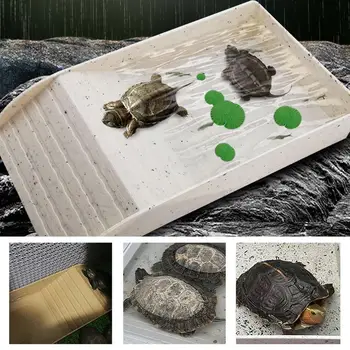 Želva Vodo Skledo Tortoise Hrane Jed S Ploščadi In Uživala Platformo Prenosni Dvoživke Habitat Za Hišne Želva Kuščar Rogom